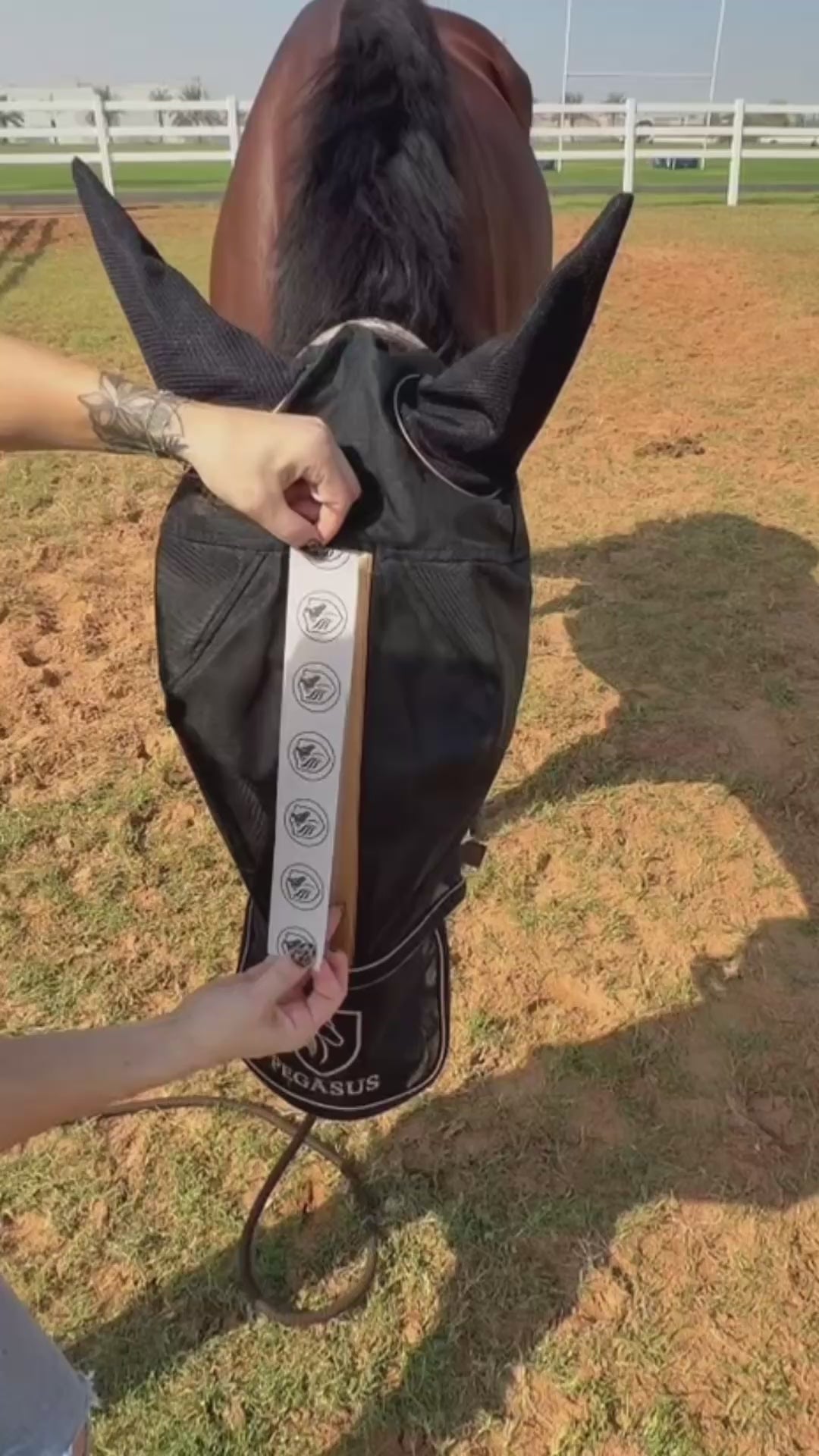 Pegasus Fly Mask worn by a horse